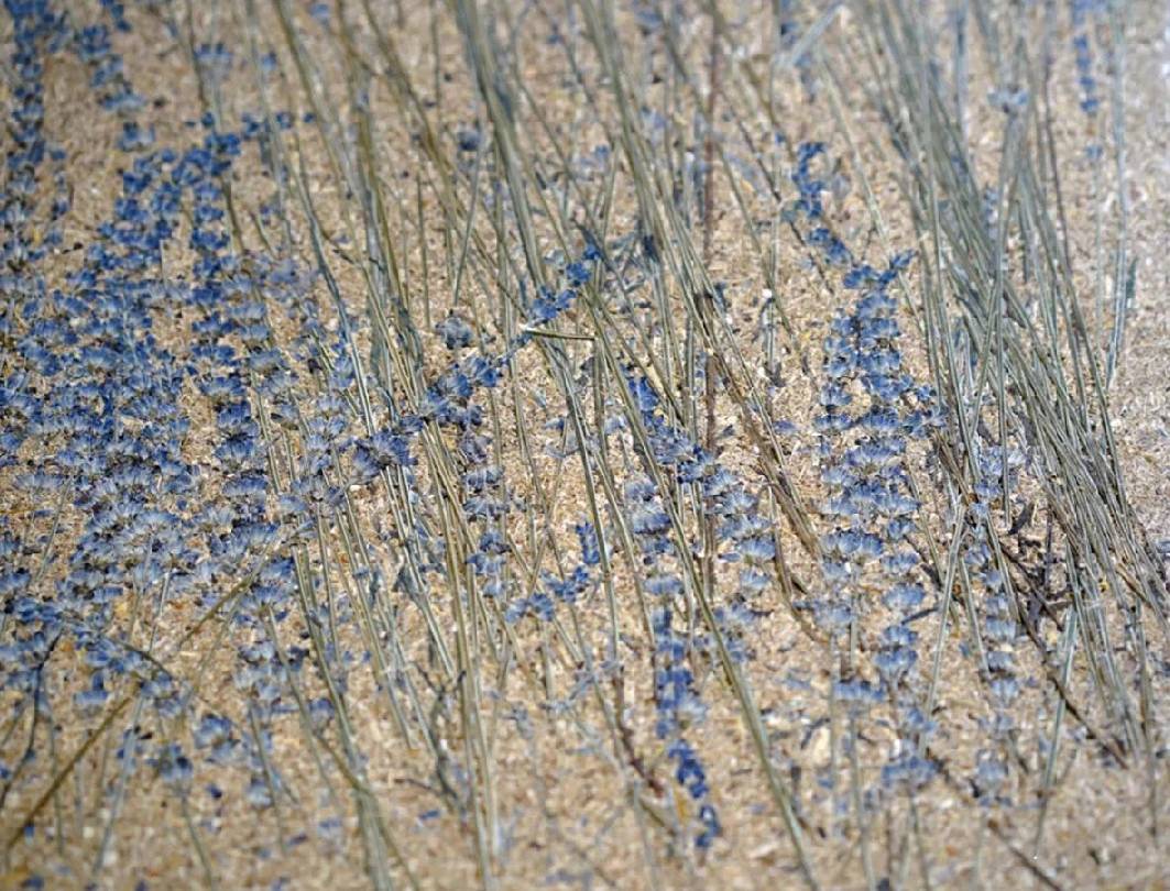 20231120201947992178.jpeg 20231120201947992178.jpeg