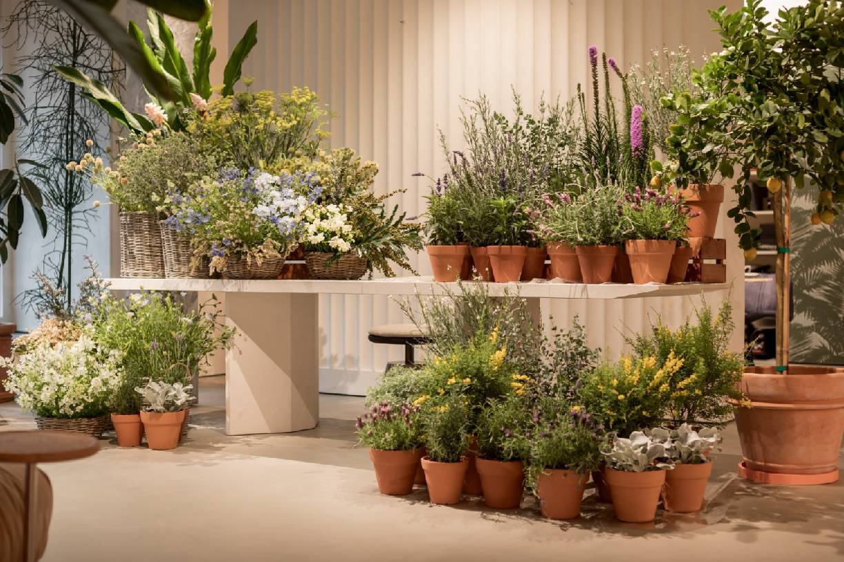 Baxter春日绿洲  (4).JPG