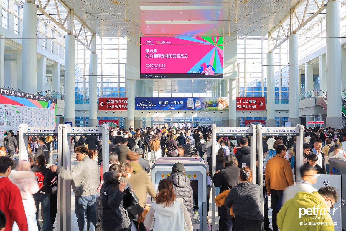 20260319211737645226.png 图片2.png